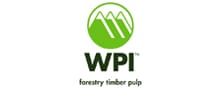 WPI Ltd